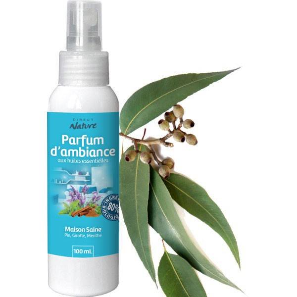 Healthy Home Spray - 100 ml at 6,80 € - Direct Nature