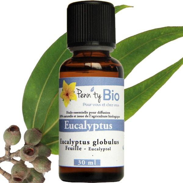 Eucalyptus globulus Bio - Sheets - Essential Oil Penntybio at 3,50 €  Conditioning 30 ml