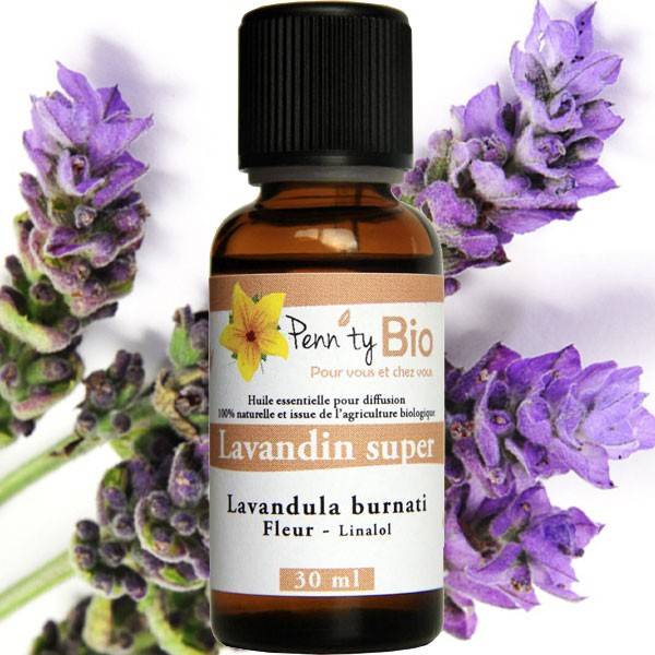 Lavandin super Bio - Plante fleurie - Huile essentielle Penntybio à 5,20 €  Conditionnement 30 ml
