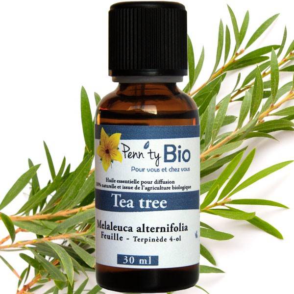 Tea tree Bio - Feuille - Huile essentielle à 11,90 € - Penntybio  Conditionnement 30 ml