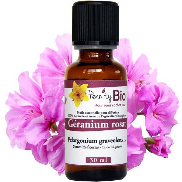 Géranium rosat d'Egypte Bio - Sommités fleuries - Huile essentielle à 17,50  € - Penntybio Conditionnement 30 ml