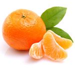 Mandarine verte - Citrus reticulata blanco