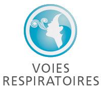 Huile essentielle catégorie Voies respiratoires Huile essentielle catégorie Voies respiratoires
