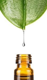 Soins aux huiles essentielles