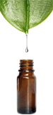 Accéder au dossier "Abécédaire des soins aux huiles essentielles".