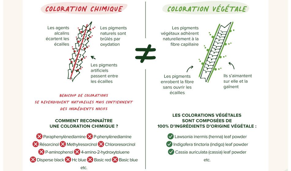 Coloration chimique VS Coloration végétale