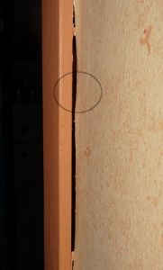 punaise de lit et porte