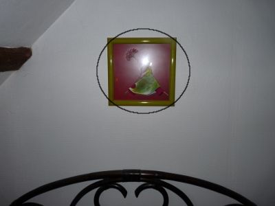 punaise de lit et tableau