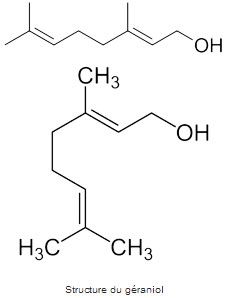 Structure chimique du géraniol Structure chimique du géraniol