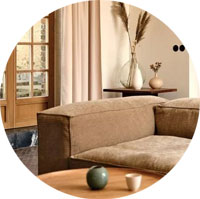 Insectes dans le salon