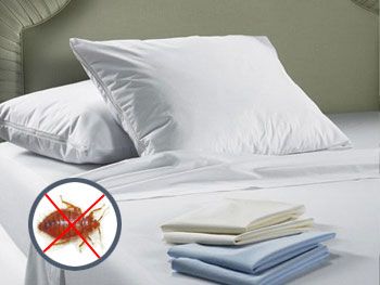 Comment choisir sa housse anti-punaises de lit ? Comment choisir sa housse anti-punaises de lit ?