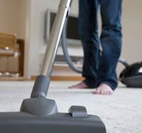 Passage de l'aspirateur contre les attagènes Passage de l'aspirateur contre les attagènes