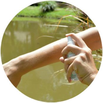 Application d'un répulsif à base de PMD ou citriodiol Application d'un répulsif à base de PMD ou citriodiol
