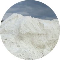 La terre de diatomée, insecticide naturel