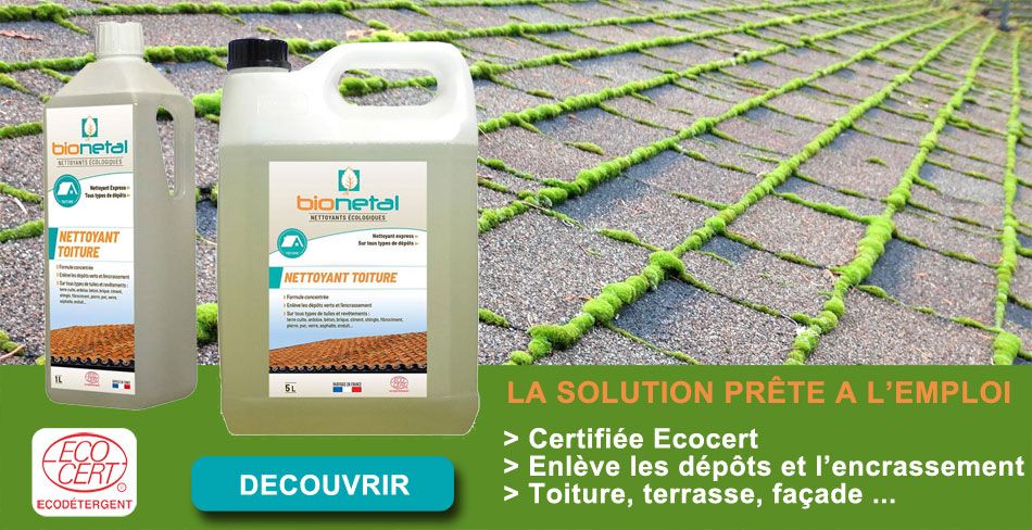 Nettoyant express pour dépôt verts, lichens et algues