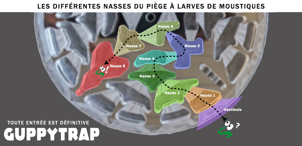 Principe des pièces du piège à larves de moustiques GuppyTrap