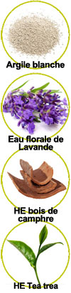 Actifs principaux de ce shampooing solide anti gratte