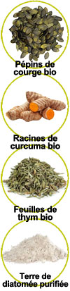 Zoom sur les actifs de ce vermifuge naturel Zoom sur les actifs de ce vermifuge naturel