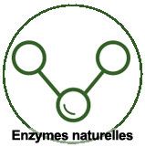 Principes actifs : les enzymes naturelles Principes actifs : les enzymes naturelles