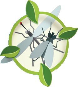 Aries, lutter naturellement contre les insectes volants