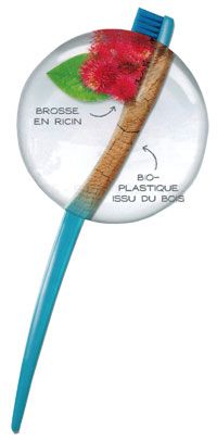 Biobrush, brosse à dent écologique