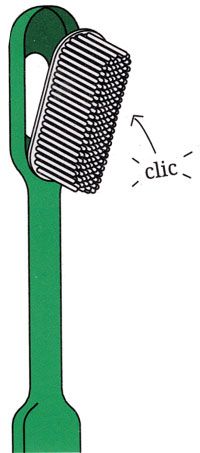 Brosse à dent écologique à tête rechargeable Caliquo
