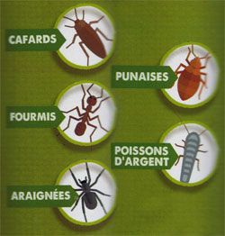 Cibles répulsifs pour insectes rampants Aries