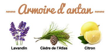 Composition de la synergie Armoire d'Antan