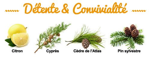 Composition de la synergie Détente convivialité