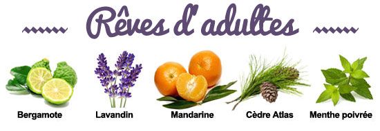Composition de la synergie Rêves d'adultes