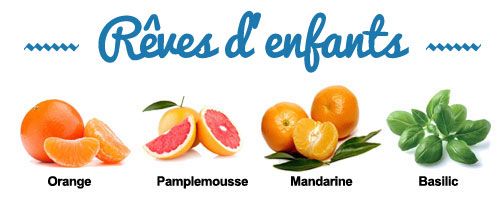 Composition de la synergie Rêves d'enfants