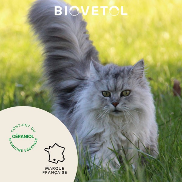 Collier insectifuge pour chat au géraniol - Biovétol