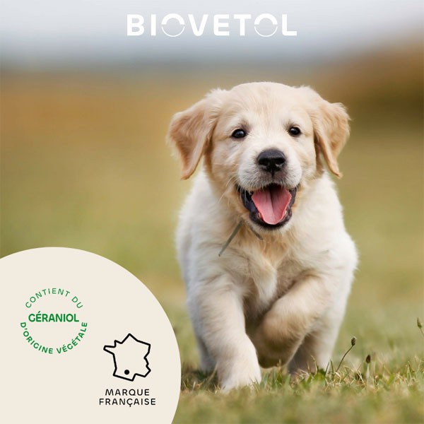 Collier insectifuge au géraniol pour petit chien - Biovétol