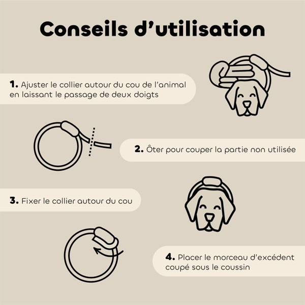 Mise en place du collier insectifuge au géraniol pour grand chien - Biovétol