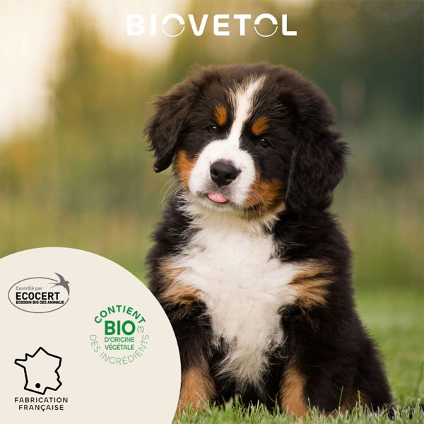 pipettes insectifuge Bio pour chiot et petit chien