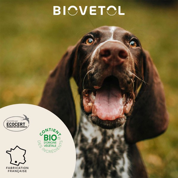 pipettes insectifuge Bio pour moyen chien