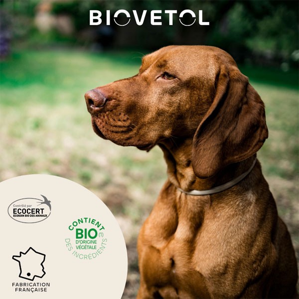 pipettes insectifuge Bio pour grand chien