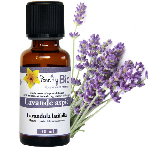 Lavande aspic Bio - Fleurs - Huile essentielle Penntybio - Flacon de 30 ml