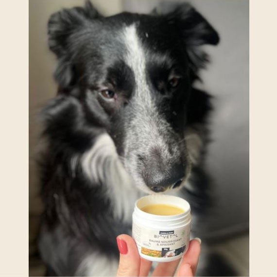 Baume nourrissant et apaisant pour chien et chat - 50 grs - Biovétol - Vue 3