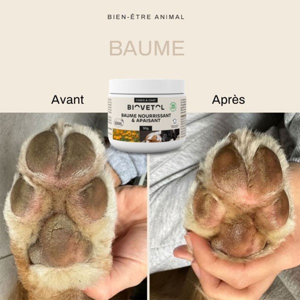 Baume nourrissant et apaisant pour chien et chat - 50 grs - Biovétol - Vue 4