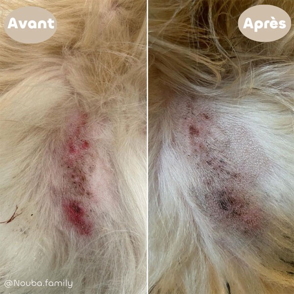 Baume nourrissant et apaisant pour chien et chat - 50 grs - Biovétol - Vue 5