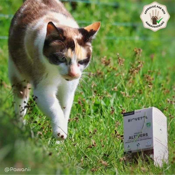 Poudre Alt'Vers bio - Grand chat - Vue 1
