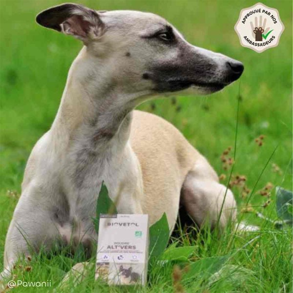 Poudre Alt'Vers bio - Petit chien - Vue 1