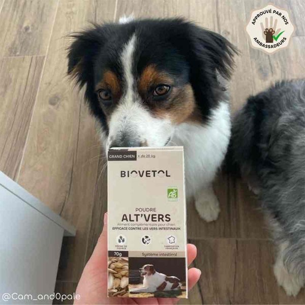 Poudre Alt'Vers bio - Grand chien - Vue 1