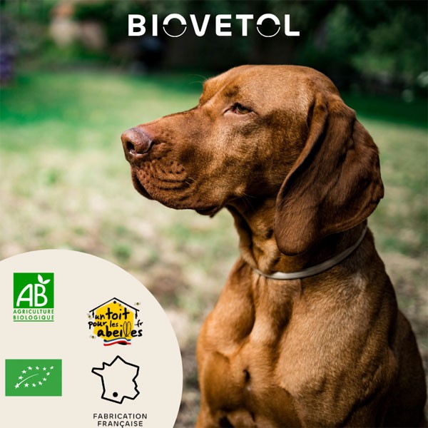 Poudre Alt'Vers bio - Grand chien - Vue 2
