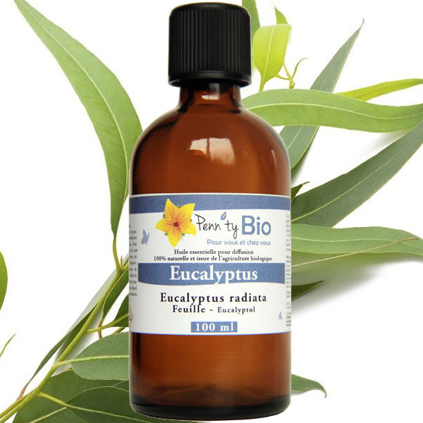 Eucalyptus radiata Bio - Feuilles - Huile essentielle Penntybio 100 ml