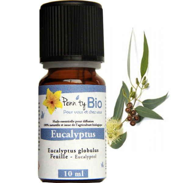Eucalyptus globulus Bio - Feuilles - Huile essentielle - 10 ml