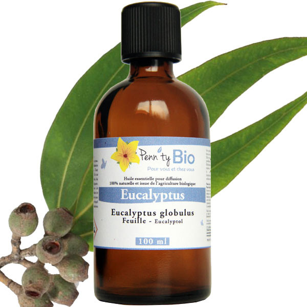 Eucalyptus globulus Bio - Feuilles - Huile essentielle - 100 ml