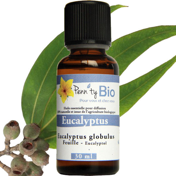 Eucalyptus globulus Bio - Feuilles - Huile essentielle - 30 ml
