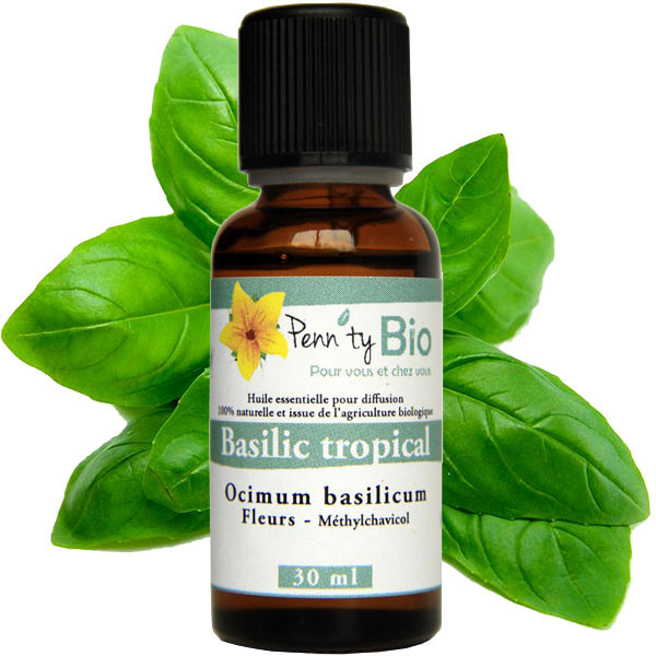 Basilic Bio - Plante fleurie – Huile essentielle Penntybio - 30 ml